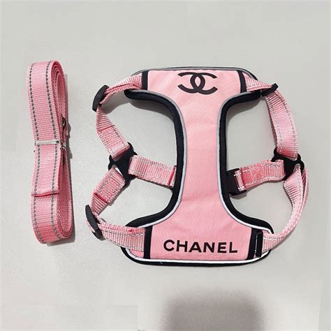 chanel dog shoes|coco chanel dog accessories.